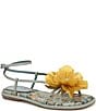 Sam Edelman undefined, 00000000_zi_03d37c76-3ab6-43a3-a8ba-94309416e0b4 - undefined