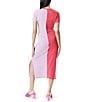 Color:Teaberry - Image 2 - Circus NY by Sam Edelman Tabatha Short Sleeve Colorblock Side Slit Midi Dress