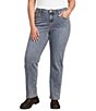 City Blues Plus Size Denim Dover Straight Leg Jeans - Image 1