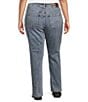 City Blues Plus Size Denim Dover Straight Leg Jeans - Image 2