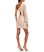 Color:Nude - Image 2 - One-Shoulder Blouson Sleeve Top And Fitted Skirt Patterned Lace Two-Piece Dress