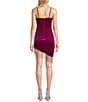 Color:Berry - Image 2 - Velvet Fringe Asymmetrical Hem Bodycon Dress