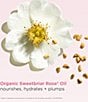 Clarins Hydrating Peptide & Plumping Lip Oil Balm, 03 Lychee - Image 6