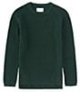 Color:Hunter - Image 1 - Big Boys 8-20 Long Sleeve Crew Neck Sweater
