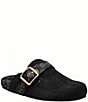COACH Women's Archival Suede and Signature Jacquard Buckle Hardware Clogs - Image 1