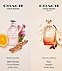 COACH Dreams Eau de Parfum - Image 6