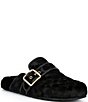 COACH Shearling Leather Buckle Logo Clogs - Image 1