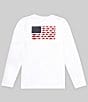 Color:White/Collegiate Navy - Image 1 - x PFG Little/Big Boys 4-18 Long-Sleeve Terminal Tackle Fish Flag UPF 50 Sun T-Shirt