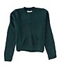 Color:Pine - Image 1 - Big Girls 7-16 Pullover Sweater