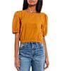 Color:Gold - Image 1 - Short Puff Sleeve Woven Texture Top