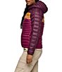 Cotopaxi Fuego Down Striped Print Hooded Stand Collar Zip Front Puffer Jacket, Color:Blackberry Jam - Image 3