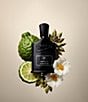CREED Absolu Aventus - Image 4