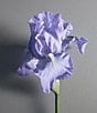 CREED Iris Debonair Eau de Parfum - Image 4