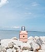 Delsey Paris Chatelet Air 2.0 Large 21#double; Upright Carry-On Spinner Suitcase, Color:Light Pink - Image 10