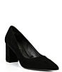 Color:Black Suede - Image 1 - Remi Suede Pointed Toe Block Heel Pumps