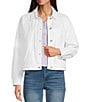 Democracy Oversized Point Collar Long Barrel Sleeve Hi-Low Hem Button Front Jacket - Image 1