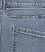 Democracy Plus Size #double;Ab#double;solution® Skyrise Round Up Double Side Seam Wide Leg Jeans, Color:Light Blue Vintage - Image 5