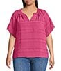 Democracy Plus Size Embroidered Ruffle Split V-Neck Short Sleeve Top - Image 1