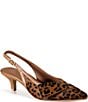 Diba True Settle Down Leopard Print Calf Hair Slingback Kitten Heel Pumps - Image 1