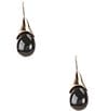 Dillard's Jet Resin Teardrop Drop Earrings, Color:Gold/Jet - Image 1