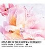 Dior undefined, 00000000__20586367_03_ai - undefined