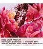 Dior undefined, 00000000__20466191_09_ai - undefined