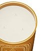DIPTYQUE Ambre (Amber) Candle - Image 3