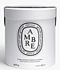 DIPTYQUE Ambre (Amber) Candle - Image 4