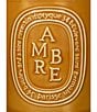 DIPTYQUE Ambre (Amber) Candle - Image 5