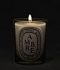 DIPTYQUE Ambre (Amber) Classic Candle, 6.7 oz. - Image 3