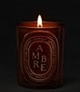 DIPTYQUE Ambre Medium Candle - Image 2