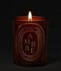 DIPTYQUE Ambre (Amber) Medium Candle, 10.6 oz. - Image 2