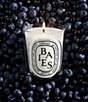 DIPTYQUE Baies (Berries) Classic Candle - Image 2