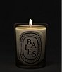 DIPTYQUE Baies (Berries) Classic Candle - Image 3