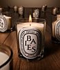 DIPTYQUE Baies (Berries) Classic Candle - Image 4
