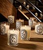 DIPTYQUE Baies (Berries) Classic Candle - Image 5