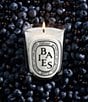 DIPTYQUE Baies (Berries) Classic Candle, 6.7 oz. - Image 2