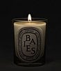 DIPTYQUE Baies (Berries) Classic Candle, 6.7 oz. - Image 4