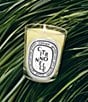 DIPTYQUE Citronnelle (Lemongrass) Classic Candle, 6.7 oz. - Image 2