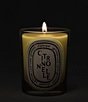 DIPTYQUE Citronnelle (Lemongrass) Classic Candle, 6.7 oz. - Image 3