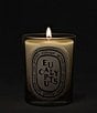 DIPTYQUE Eucalyptus Classic Candle - Image 3