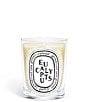 DIPTYQUE Eucalyptus Classic Candle - Image 1