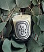 DIPTYQUE Eucalyptus Classic Candle, 6.7 oz. - Image 2