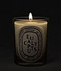 DIPTYQUE Eucalyptus Classic Candle, 6.7 oz. - Image 3