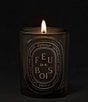 DIPTYQUE Feu de Bois Medium Candle - Image 2