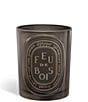 DIPTYQUE Feu de Bois Medium Candle - Image 1