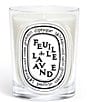 DIPTYQUE Feuille de Lavande (Lavender Leaf) Classic Candle - Image 1