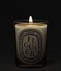 DIPTYQUE Figuier (Fig Tree) Classic Candle - Image 3