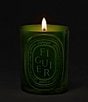 DIPTYQUE Figuier (Fig Tree) Medium Candle, 10.6 oz. - Image 2