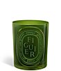 DIPTYQUE Figuier (Fig Tree) Medium Candle - Image 1